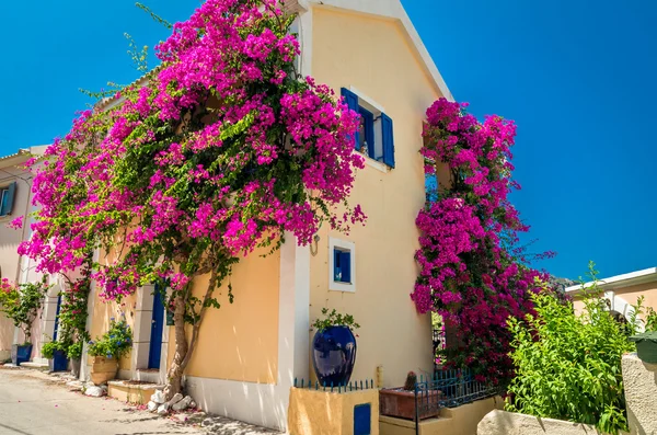 Hagyományos görög ház virágok Assos, Kefalonia island, — Stock Fotó