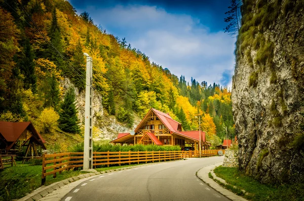 Fall colors around a cottage house. — Stock Photo, Image