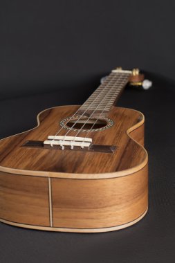 Ahşap Ukulele müzik aleti