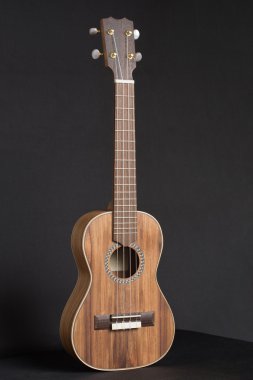 Ahşap Ukulele müzik aleti