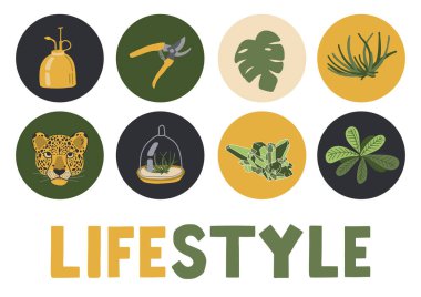 Koleksiyon yaşam tarzı. Elementler: leopar, kuvars kristali, bitkiler. Hobiler, moda ev dekorasyonu, kendine dikkat etmek. Yeşil bitkiler. Orman tarzı ev. Vektör illüstrasyonu.