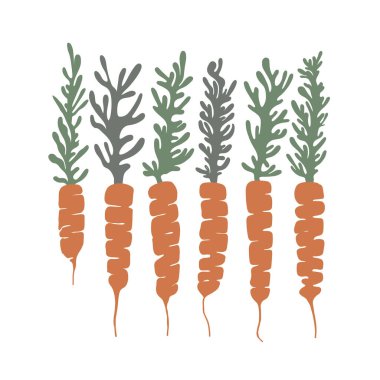 Havuç hazır. Sebzeler sağlıklı yemektir. A vitamini soyut illüstrasyon. Çevre dostu. Mutfak, bahçe, alışveriş. İskandinav tarzı