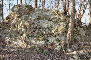 STENICNJAK STARI CROATIA 'DA GAZETE Yıkıntıları