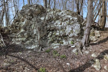 STENICNJAK STARI CROATIA 'DA GAZETE Yıkıntıları
