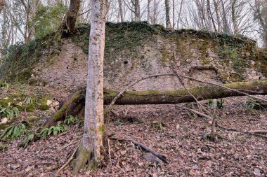 PerNA STARI GRAD Yıkıntıları KRALARDA