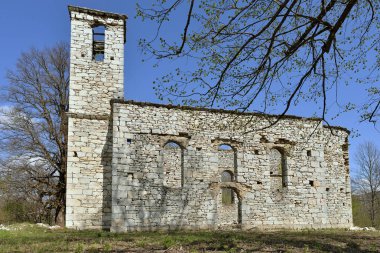 YELLOW DANDELİON ÇİÇEKLERİ ÇİÇEK İÇİN BAŞLAR