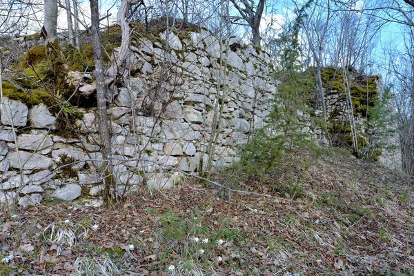 Ruinas Del Viejo Castillo Medieval Blagaj Croacia — Foto de Stock