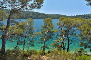 CROATIA 'DAKİ MLJET' İN ADASI