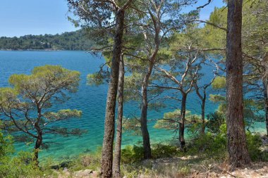 CROATIA 'DAKİ MLJET' İN ADASI