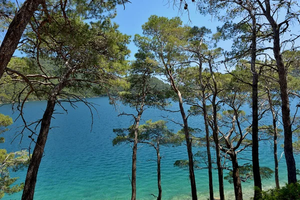 Νησι Τησ Mljet Στην Αδριατικη Θαλασσα Τησ Κροατιασ — Φωτογραφία Αρχείου