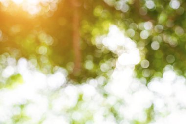 Gökyüzü bokeh arkaplan gibi bulanık yeşil çalılar.