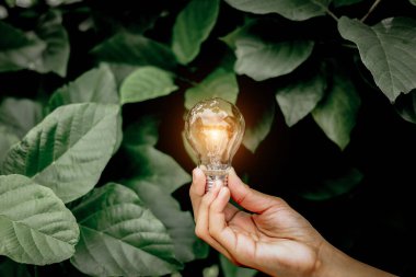 El ele tutuşmak ampul, doğal enerji ve dünya konseptini sevmek.
