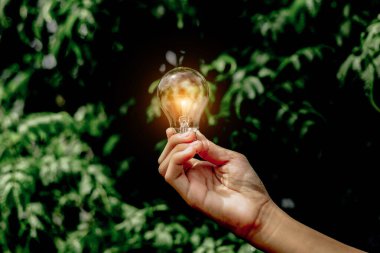 El ele tutuşmak ampul, doğal enerji ve dünya konseptini sevmek.