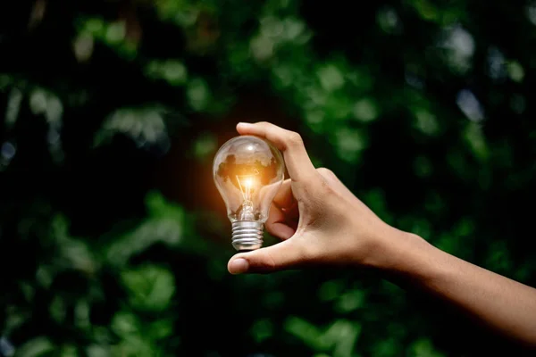 Hand holding light bulb,natural energy and love the world concept.