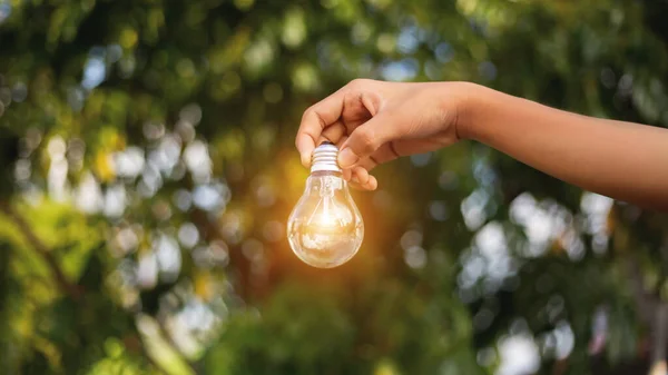 Hand holding light bulb,natural energy and love the world concept.