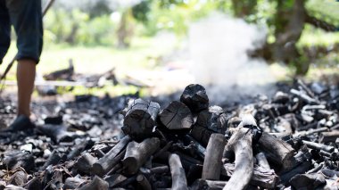 Çiftçiler çiftlikten kesilmiş odun kömürü yakıyor..