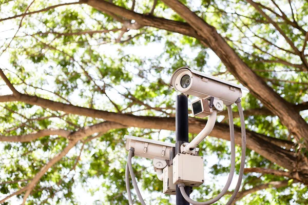 Videocamere Circuito Chiuso Installate Fuori Del Concetto Protezione Dell Edificio — Foto Stock