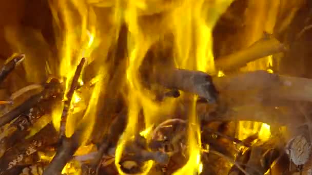 Uma fogueira a arder na noite escura — Vídeo de Stock
