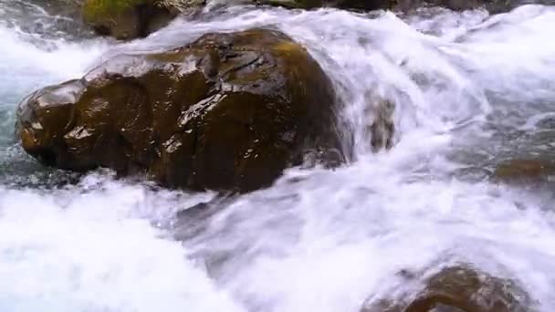 Дикая Горная Река Текущая Каменными Камнями Каменными Порогами Чистая Горная — стоковое видео