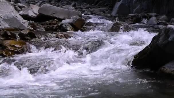 Rivière Montagne Sauvage Qui Coule Avec Des Rochers Pierre Des — Video