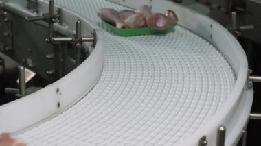 Chicken processing line at poultry farm. Chicken meat production line. . Food industry.