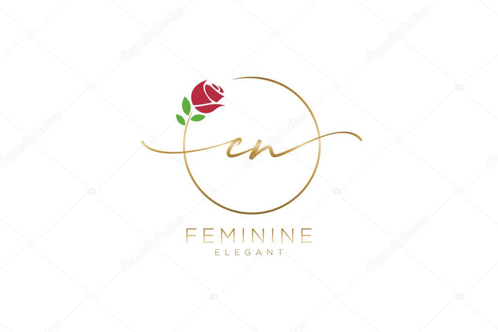 CN Feminine logo beauty monogram and elegant logo design, handwriting logo of initial signature, wedding, fashion, floral and botanical with creative template.