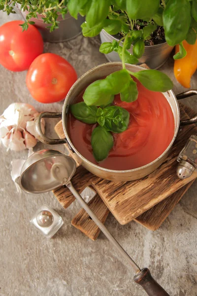 Zupa pomidorowa z bazylią w garnku na marmurze — Zdjęcie stockowe