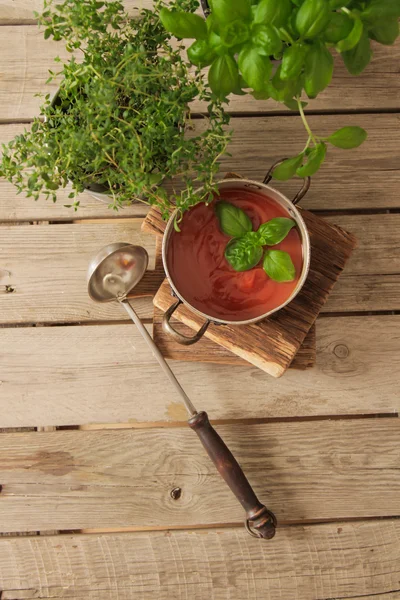 Sopa de tomate con albahaca en una olla en el mármol — Foto de Stock