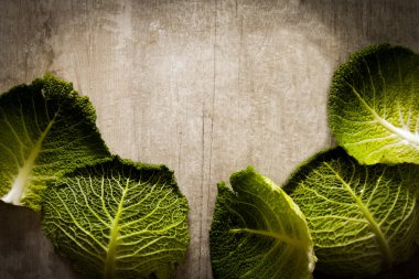 Öğle yemeği için bahçesinden yeşil lahana