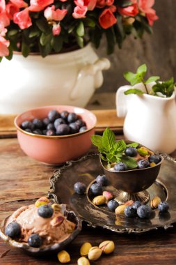 Çikolatalı dondurma ile nane bir kapta