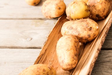 Olgun patates sadece vykapannaya üzerinden bir ahşap backg yere