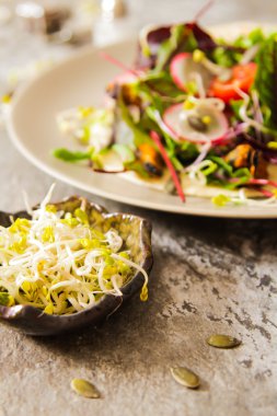 akşam yemeği için salata domates ve turp lahanası