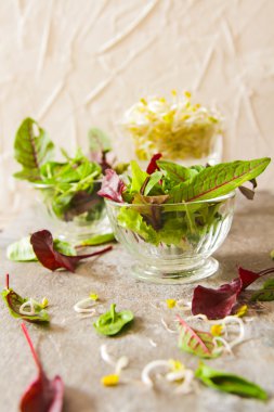 yeşil salata ile lahanası lezzetli yemekler diyet için yaprak