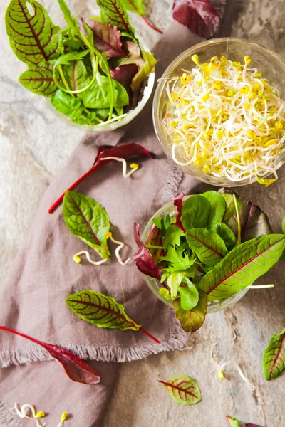 Grüner Blattsalat mit Sprossen leckeres Futter für die Ernährung — Stockfoto