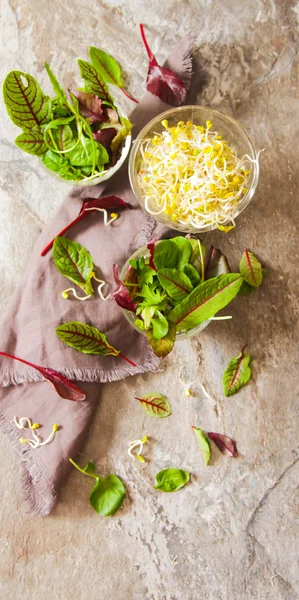 Grüner Blattsalat mit Sprossen leckeres Futter für die Ernährung — Stockfoto