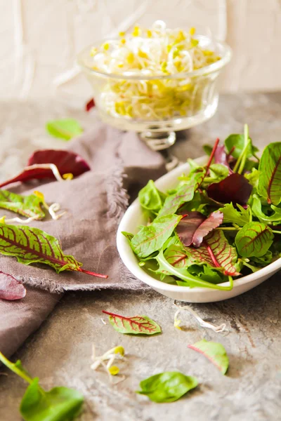 Grüner Blattsalat mit Sprossen leckeres Futter für die Ernährung — Stockfoto