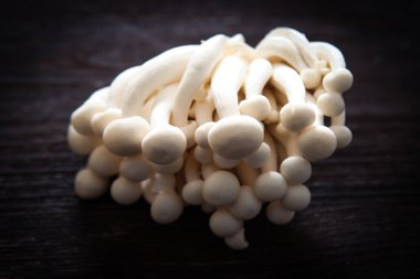 Japon yemekleri tarzı. Udon erişte shimeji mantar ile.