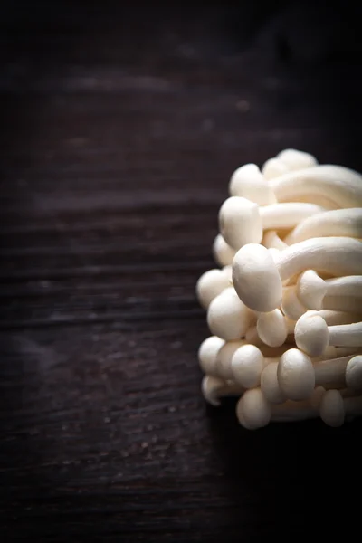 Estilo de comida japonesa. macarrão udon com cogumelos shimeji . — Fotografia de Stock