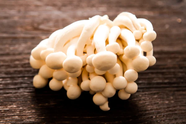 Japanese food style. udon noodles with shimeji mushrooms. — Stock Photo, Image