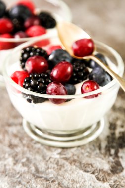 Bütün taze yaban mersini ile beyaz yoğurt hizmet 