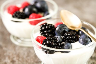 Bütün taze yaban mersini ile beyaz yoğurt hizmet 