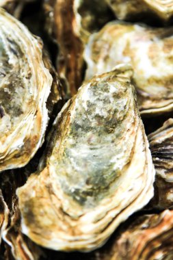 buz ve limon ile taş plaka üzerinde istiridye