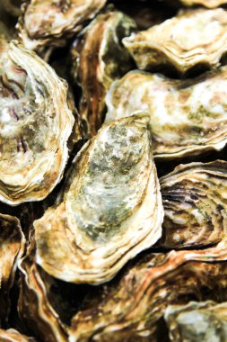 buz ve limon ile taş plaka üzerinde istiridye