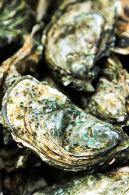 buz ve limon ile taş plaka üzerinde istiridye