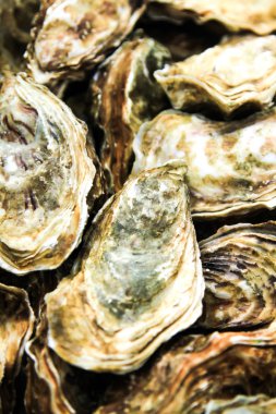 buz ve limon ile taş plaka üzerinde istiridye