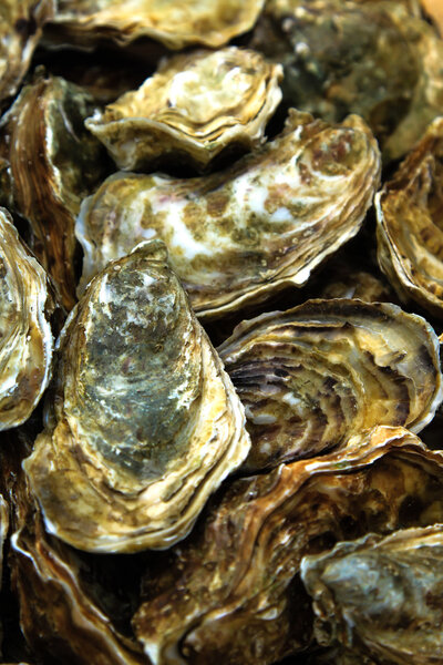 Устрицы на каменной тарелке со льдом и лимоном
