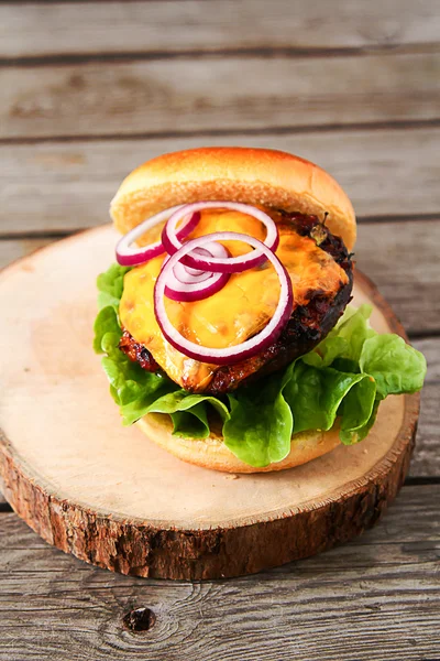 Heerlijke verse zelfgemaakte hamburger met pittige tomatensaus en rundvlees — Stockfoto