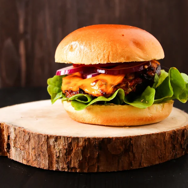 Heerlijke verse zelfgemaakte Hamburger op donkere portie bord met pittige — Stockfoto