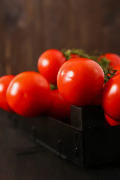Bovenaanzicht van verse tomaten, geïsoleerd op donkere achtergrond — Stockfoto