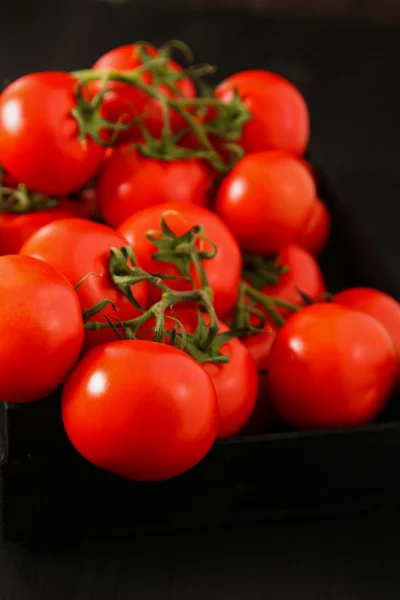 Bovenaanzicht van verse tomaten, geïsoleerd op donkere achtergrond — Stockfoto